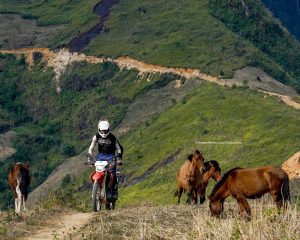 Northern Vietnam Motorbike Tour: 10 Days of Challenging and Exploring