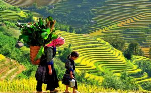 Amazing North Vietnam Motorbike Tours: 12 Days to Conquer The Valley