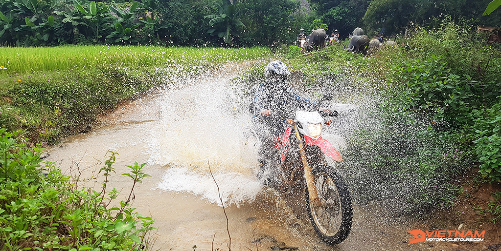 Advisable Vietnam motorcycle tours and rentals