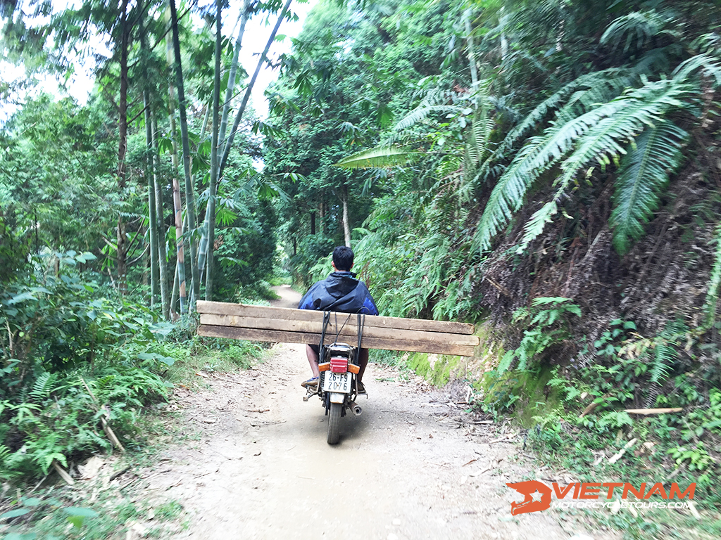 How do you choose Vietnam motorcycles when traveling? vietnam motorcycles when traveling 7