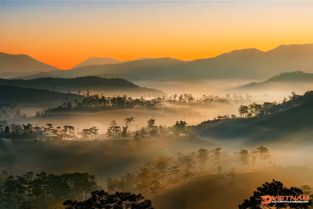 How to experience Dalat by motorcycle in the best way?
