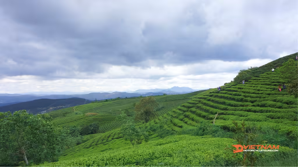 (Day 2) Nam Cat Tien National Park to Di Linh