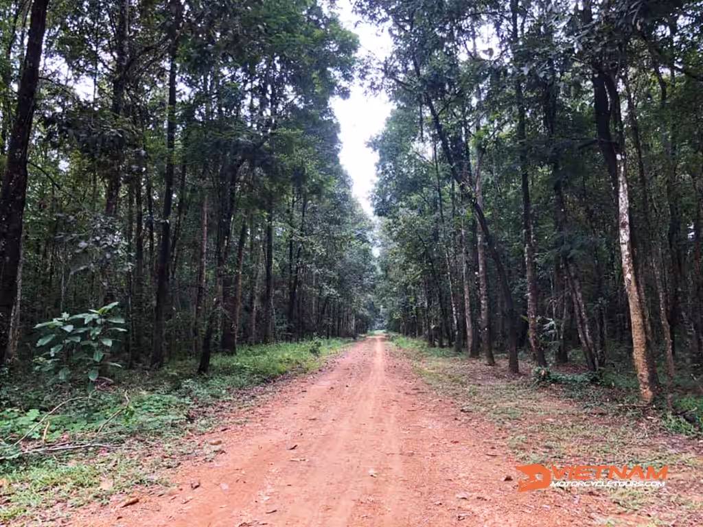 (Day 1) Saigon to Nam Cat Tien National Park