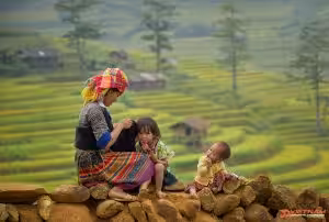 top 5 vietnam tours 2022 8211 traveling tips and budget - Motorcycle Tour VietnamBikers