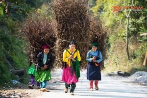 Ha Noi - Ha Giang Motorcycle Tour