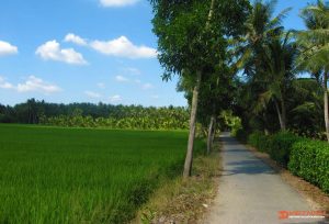 1-Day-Motorcycle Tour-Nhon-Thanh-Village-3