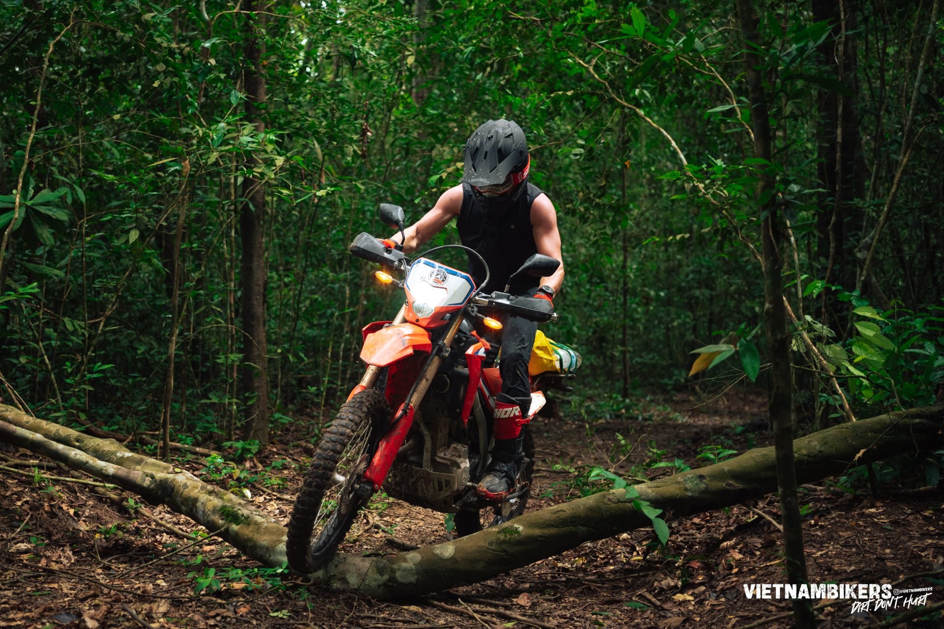 saigon 8211 cat tien national park motorbike tour 2d 1n a great adventure - Motorcycle Tour VietnamBikers