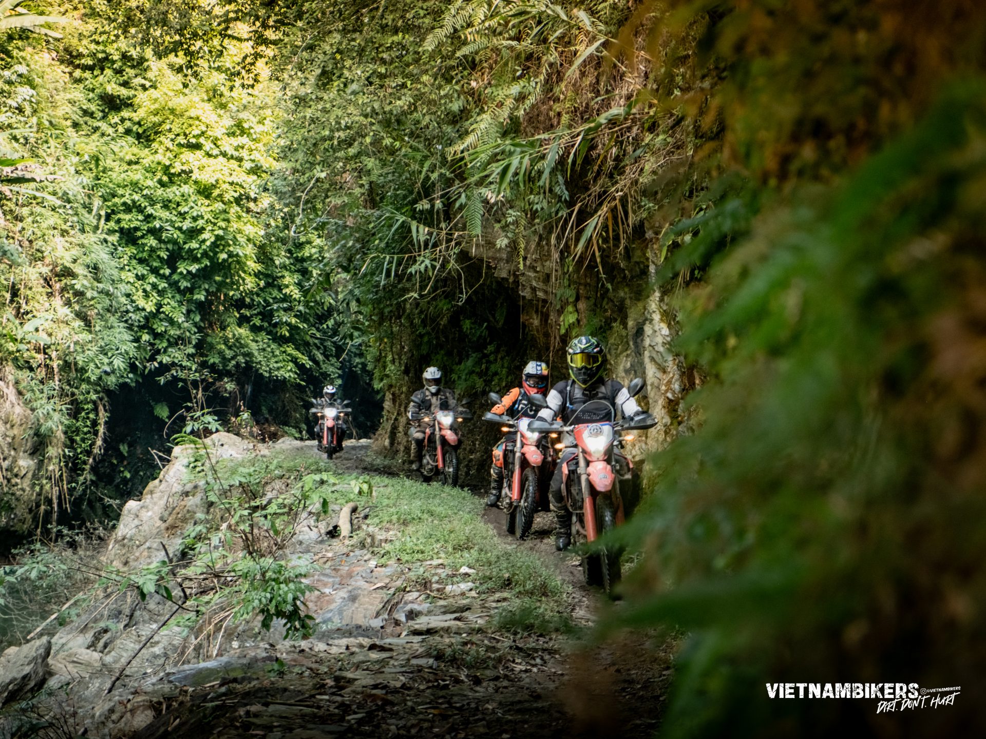 northeast vietnam motorbike tour 5 days from hanoi to ban gioc waterfall and ba be - Motorcycle Tour VietnamBikers