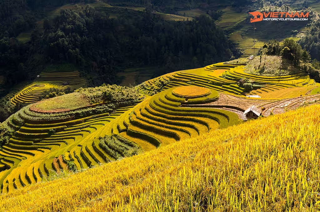5: Ride To Mu Cang Chai - Heaven Of Terraced Fields