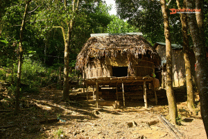 4 Day Hoi An - Hue Motorcycle Tour Via DMZ | Off-road Ho Chi Minh Trail