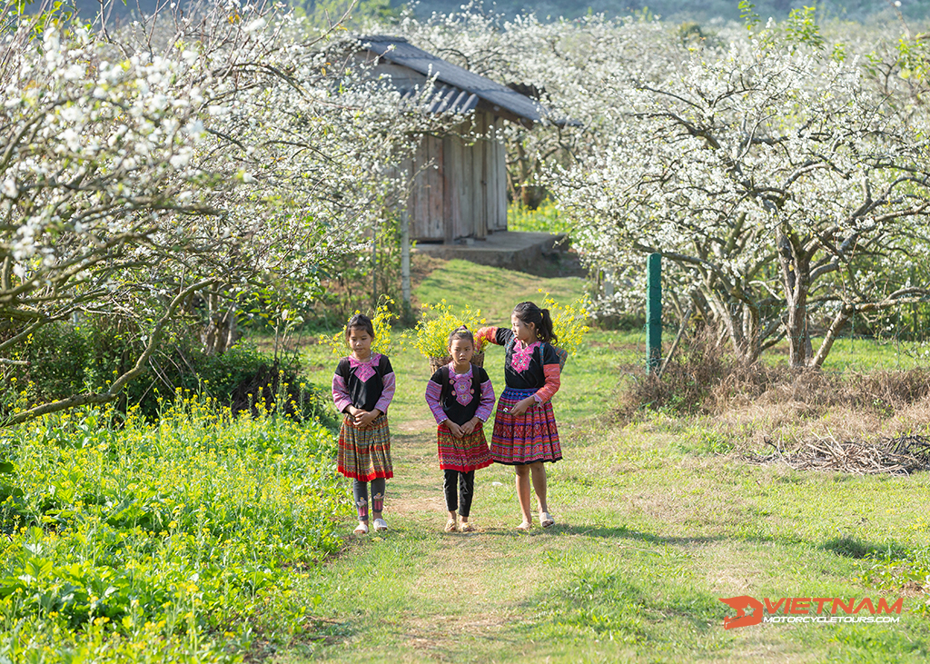 What Is The Best Time To Visit Moc Chau by motorbike?