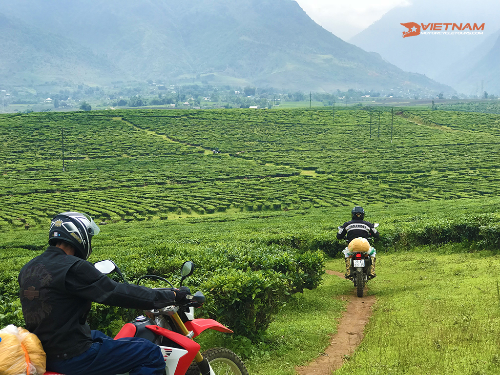 How Can You Travel To Moc Chau?