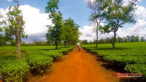 motorbike tour of Vietnam