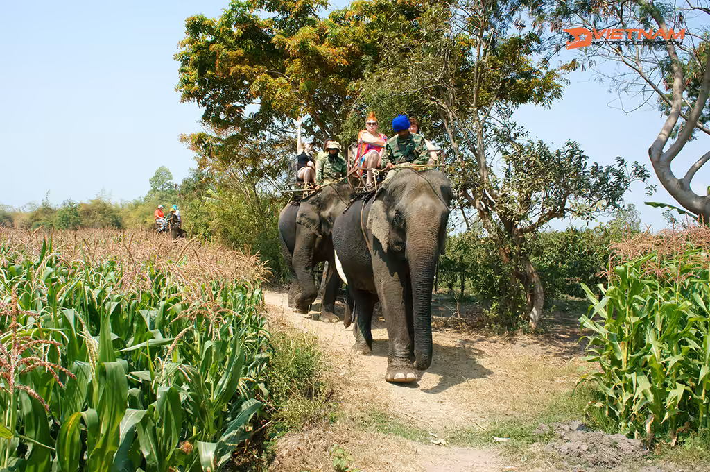 Day 4: Dak Mil - Buon Ma Thuot