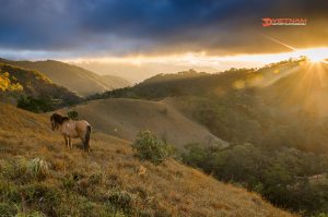 Southern Enduro Trip Da Lat To Phan Thiet Within 5 Days