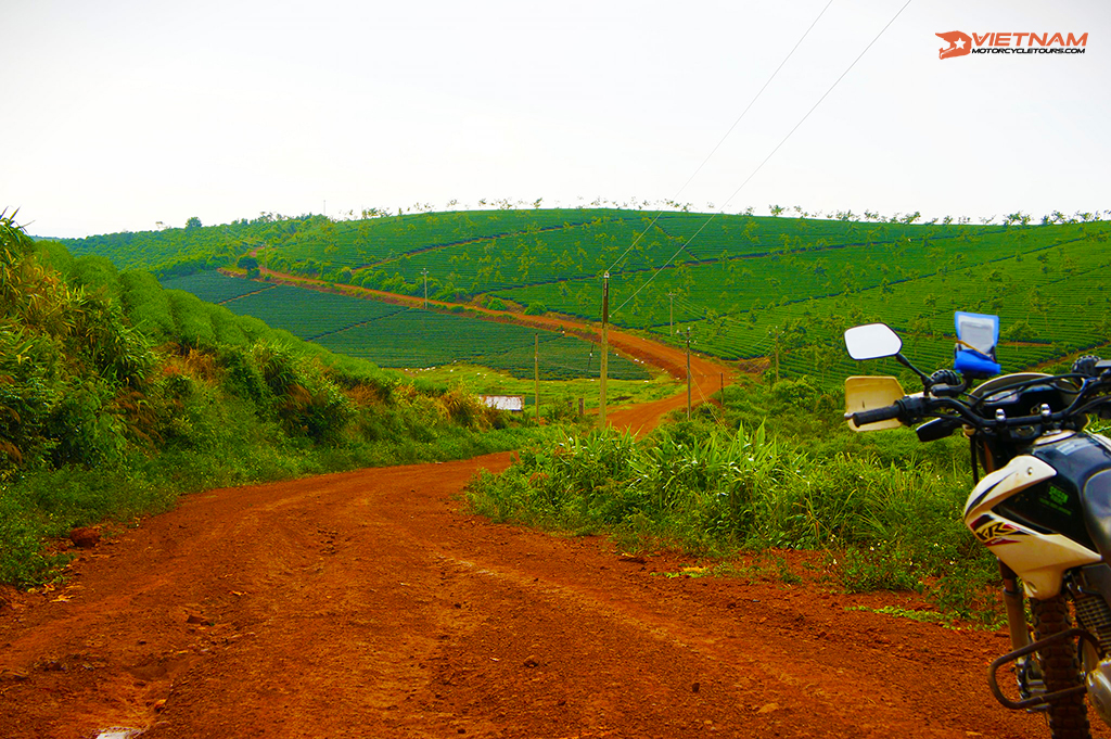 Day 3: Ta Dung Lake To Da Lat