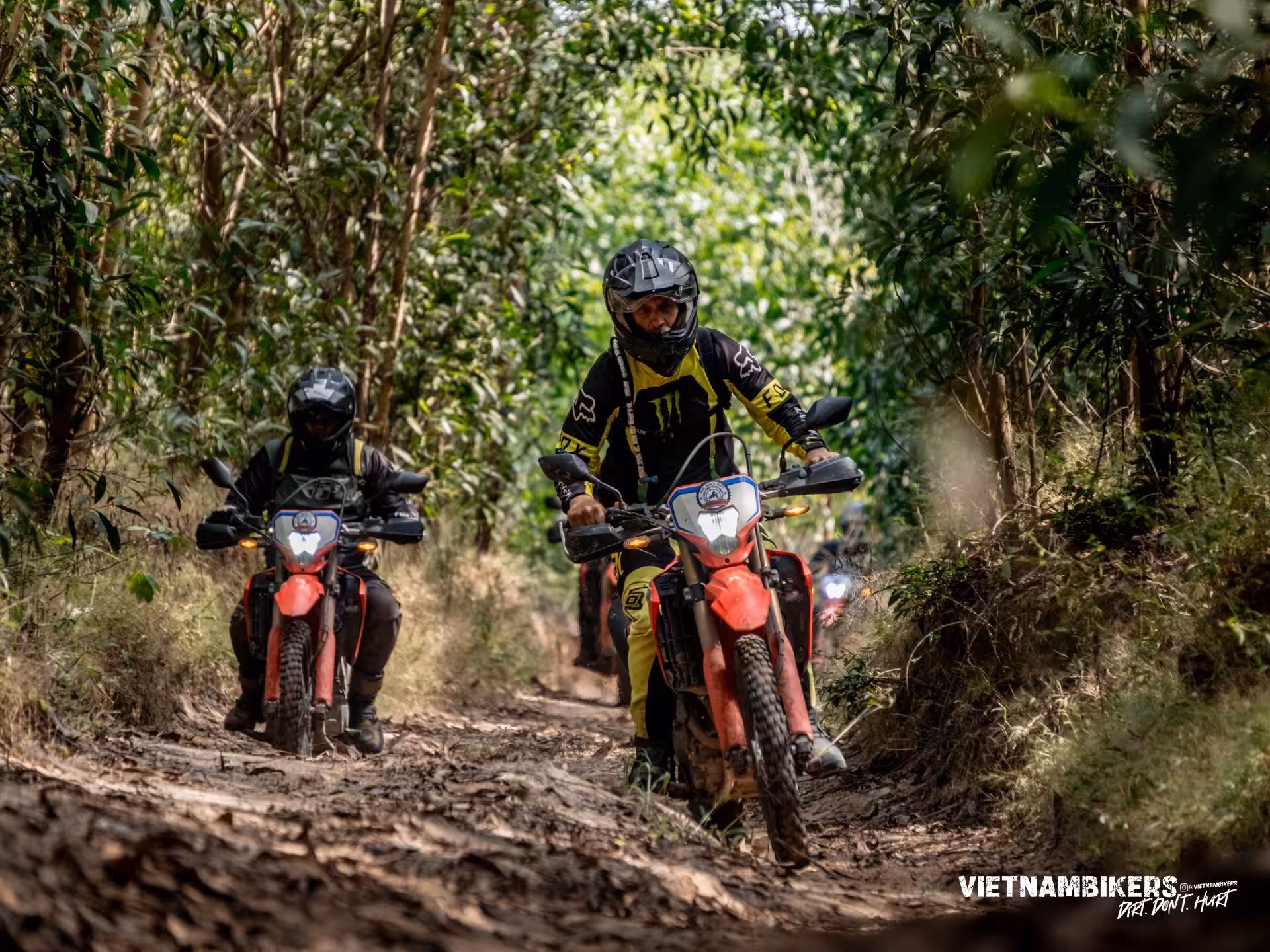 a thorough sai gon motorcycle tour to hue guideline 12d 11n - Motorcycle Tour VietnamBikers