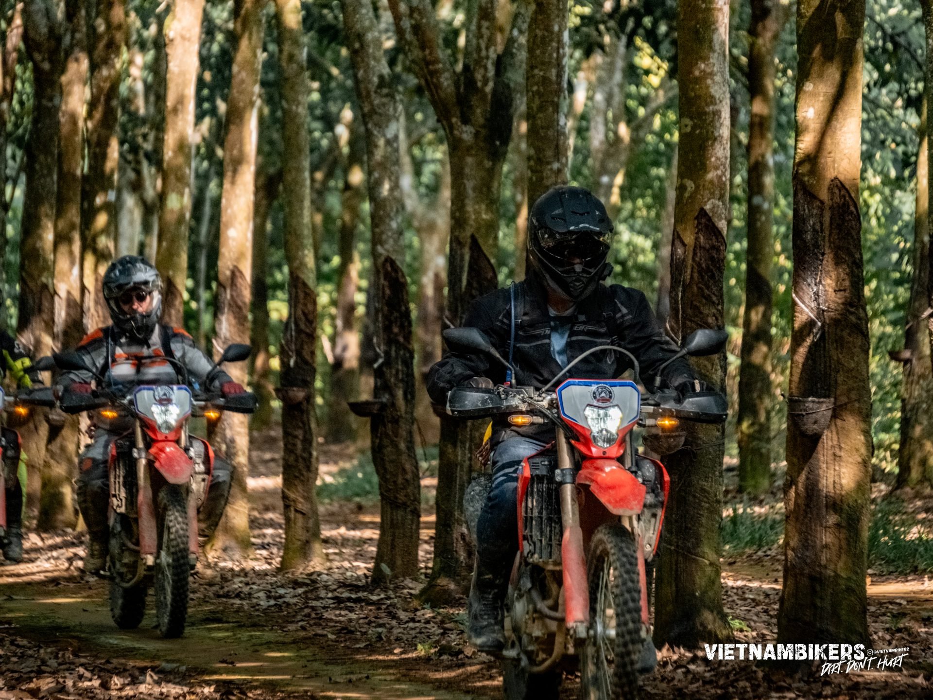 saigon motorcycle trip 9 days a journey to the high central of vietnam - Motorcycle Tour VietnamBikers