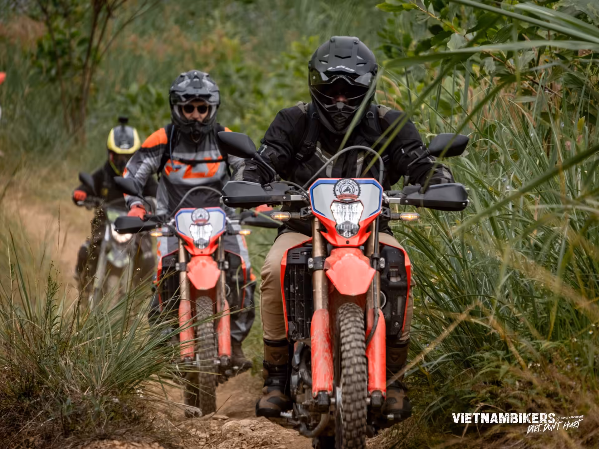 saigon motorbike tour an exciting 9 day tour to hoi an and da nang - Motorcycle Tour VietnamBikers
