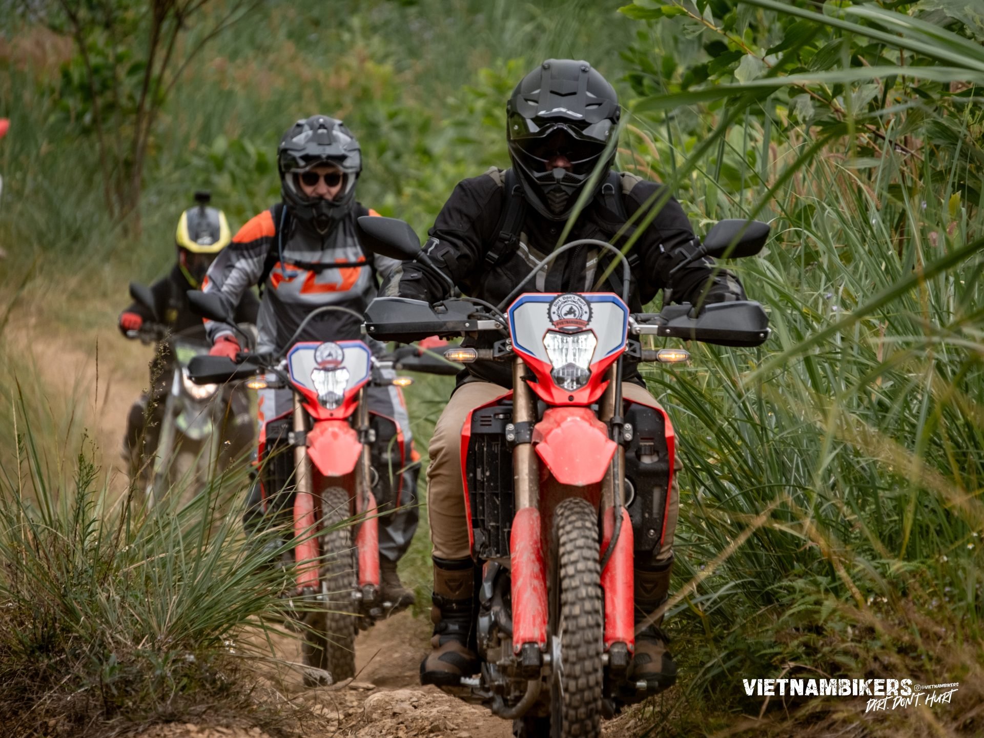 saigon motorbike tour an exciting 9 day tour to hoi an and da nang - Motorcycle Tour VietnamBikers