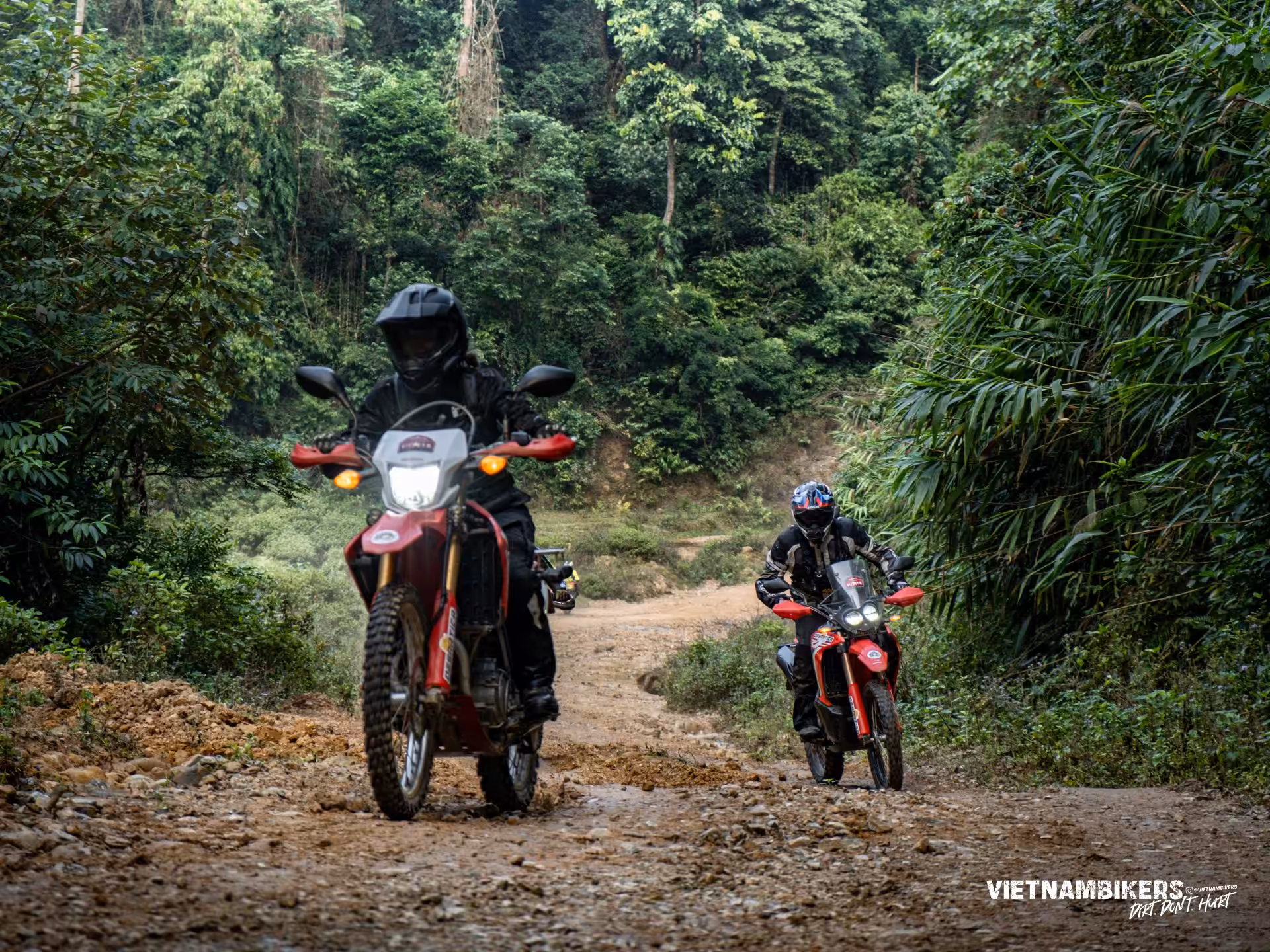 motorcycle tour along ho chi minh road a 12 day adventure hoian to hanoi - Motorcycle Tour VietnamBikers