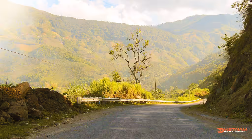 Provincial Road DT520