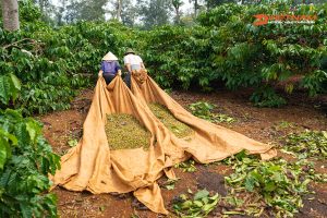 Buon Me Thuot, Vietnam.