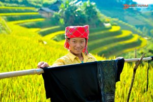 H'Mong people in Viet Nam