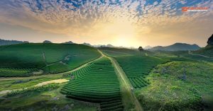 Moc Chau district, Son La province, Vietnam
