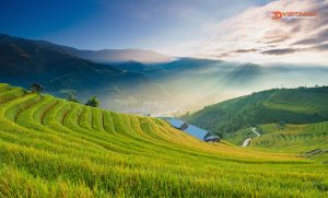 Sapa - Vietnam