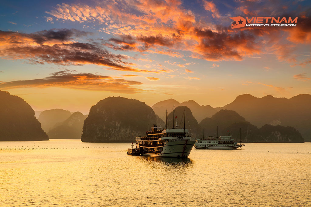 Halong Pelican Cruise