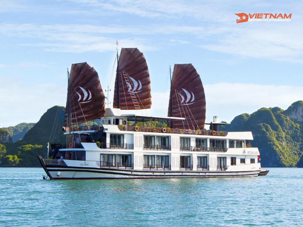 Halong Pelican