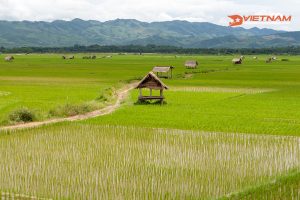 luang namtha valley, Laos