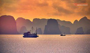 Palican Cruise Halong