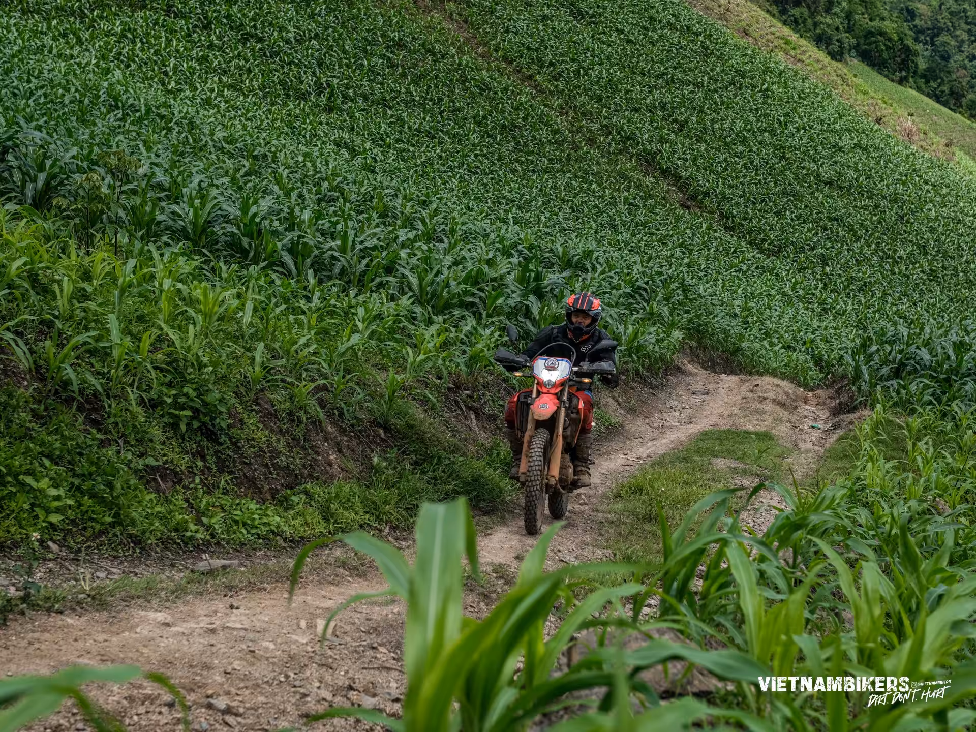 northwest reservation hop 6d 5n a journey not to be missed - Motorcycle Tour VietnamBikers