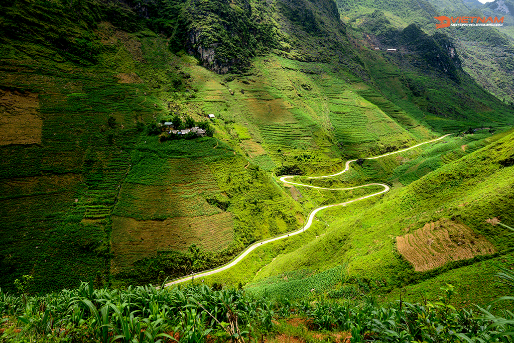 Motorbiking Vietnam