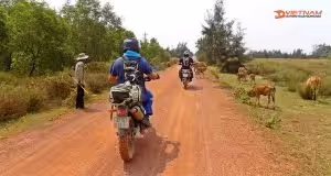 The Best Motorbike Coast in Vietnam