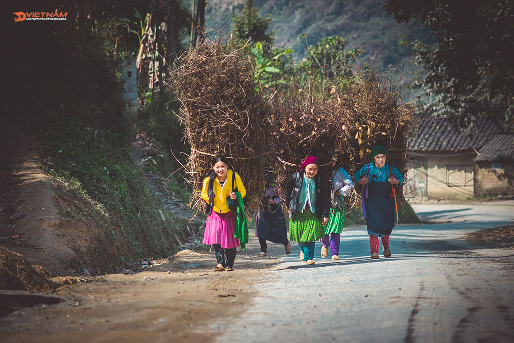 Ha Giang Loop Motorbike 2023: Get Closer To The Nature - Motorcycle Tours in Vietnam Meo Vac - Du Gia Motorcycle Tour