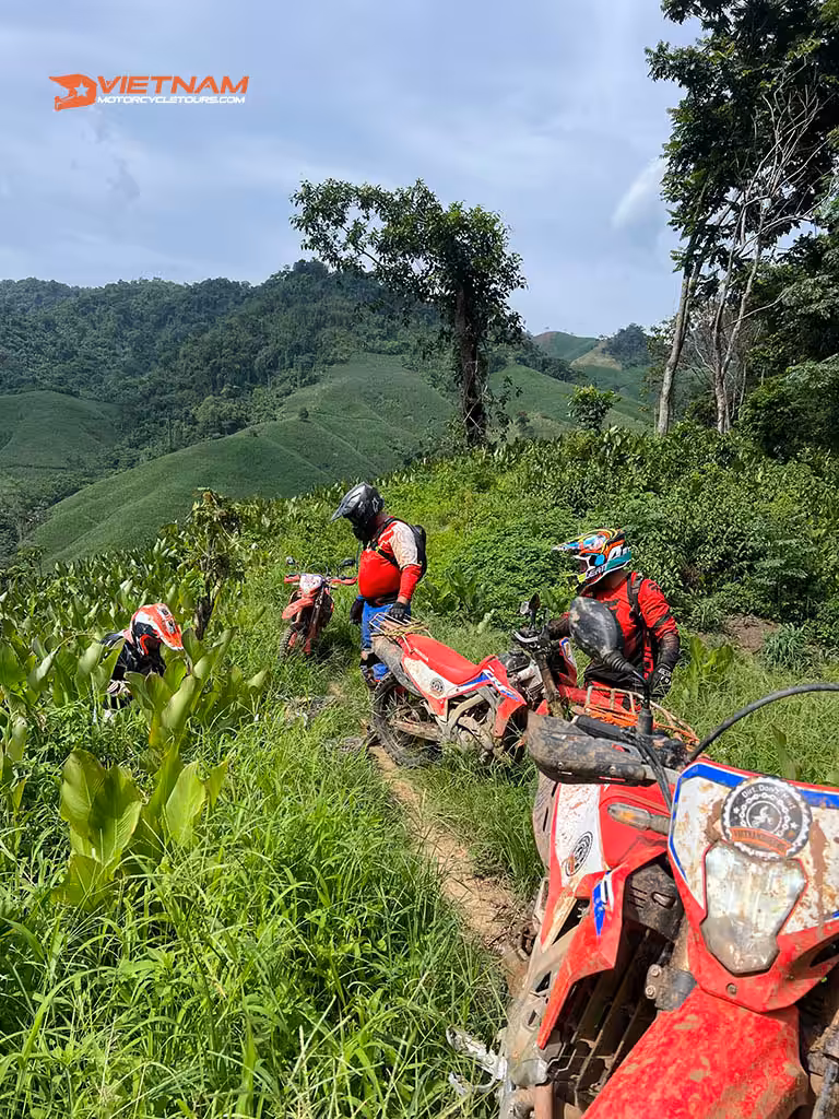 Why Should You Choose Vietnam For Your Motorbike Route?