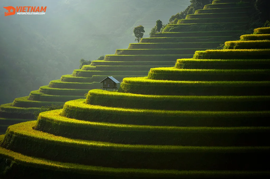 Day 9: Sapa to Mu Cang Chai Motorbike Trek - 180km
