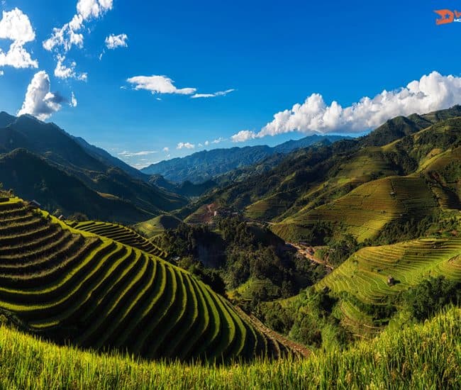 Vietnam Destinations Mu Cang Chai By motorbike 650x550 1