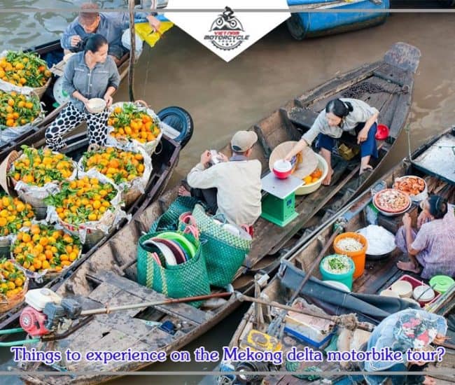 Vietnam Destinations Things to experience on the Mekong delta motorbike tour 1 650x550 1