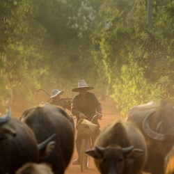 Vietnam Destinations laos