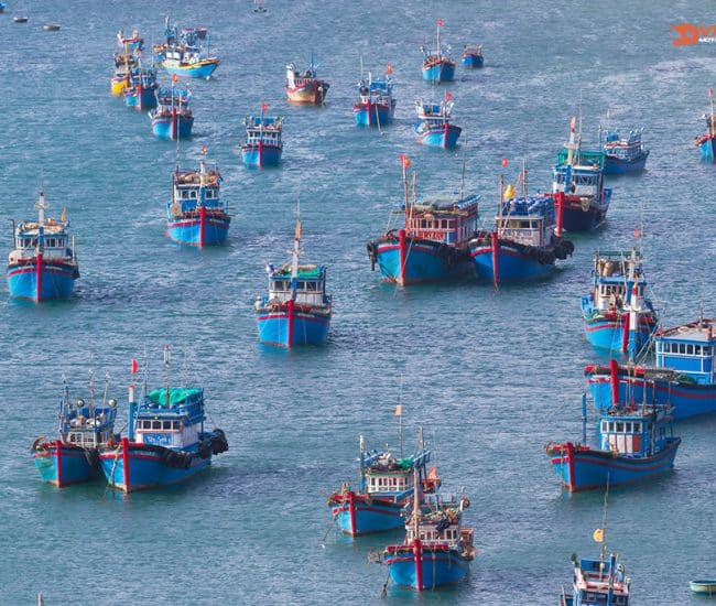 Vietnam Destinations nui chua coastal road 4 650x550 1