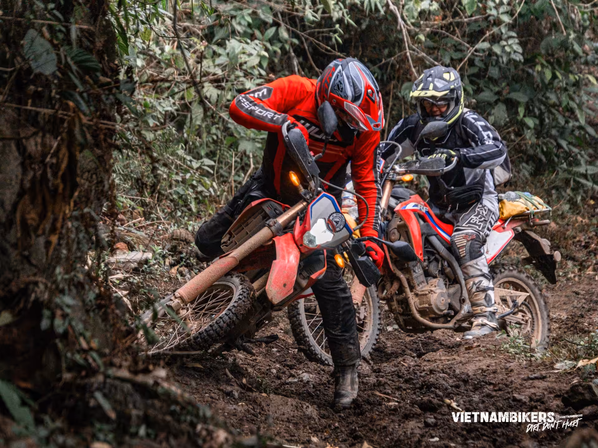 north vietnam motorbike tours 10d9n discover the hidden gems - Motorcycle Tour VietnamBikers