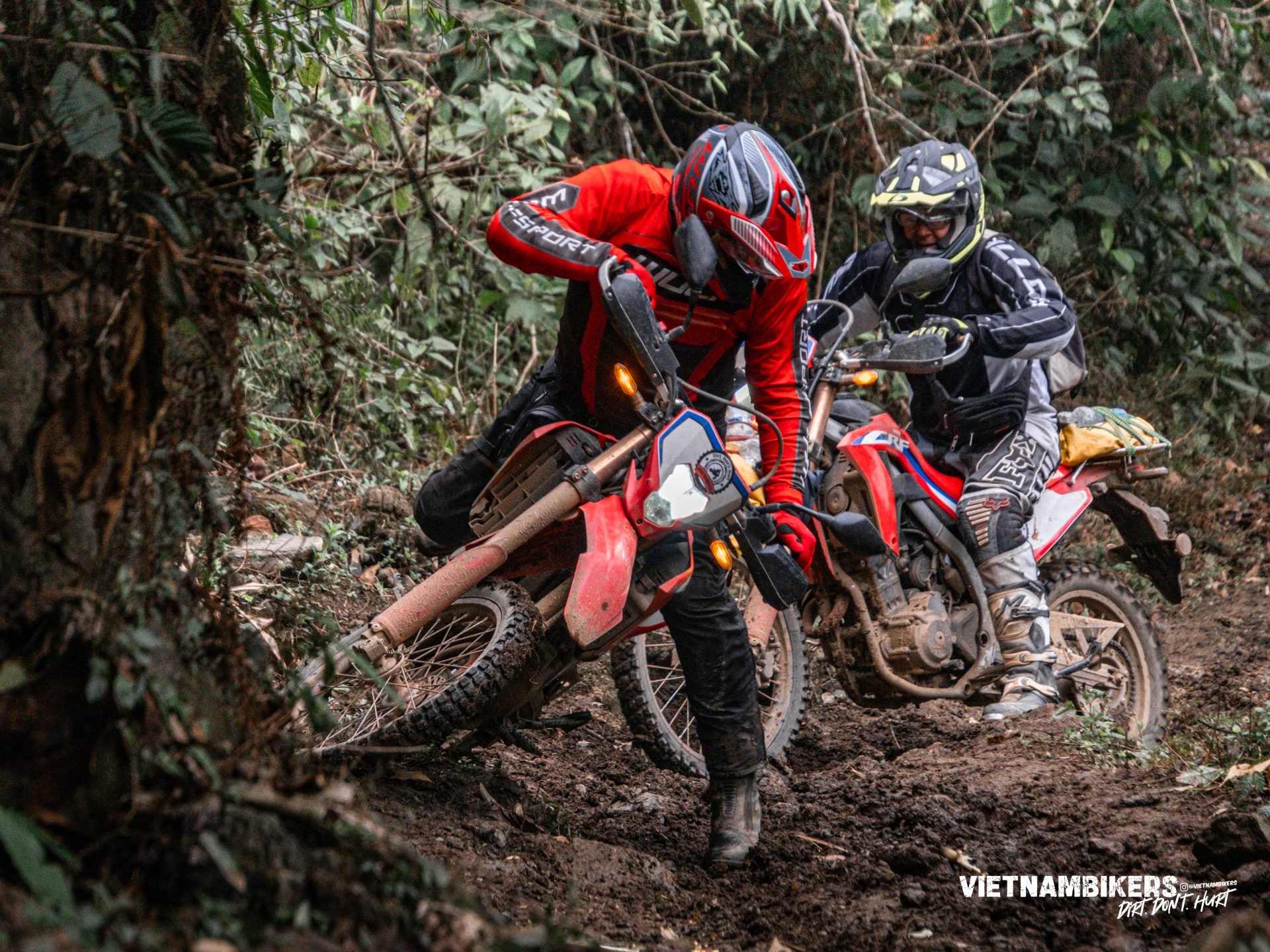 north vietnam motorbike tours 10d9n discover the hidden gems - Motorcycle Tour VietnamBikers