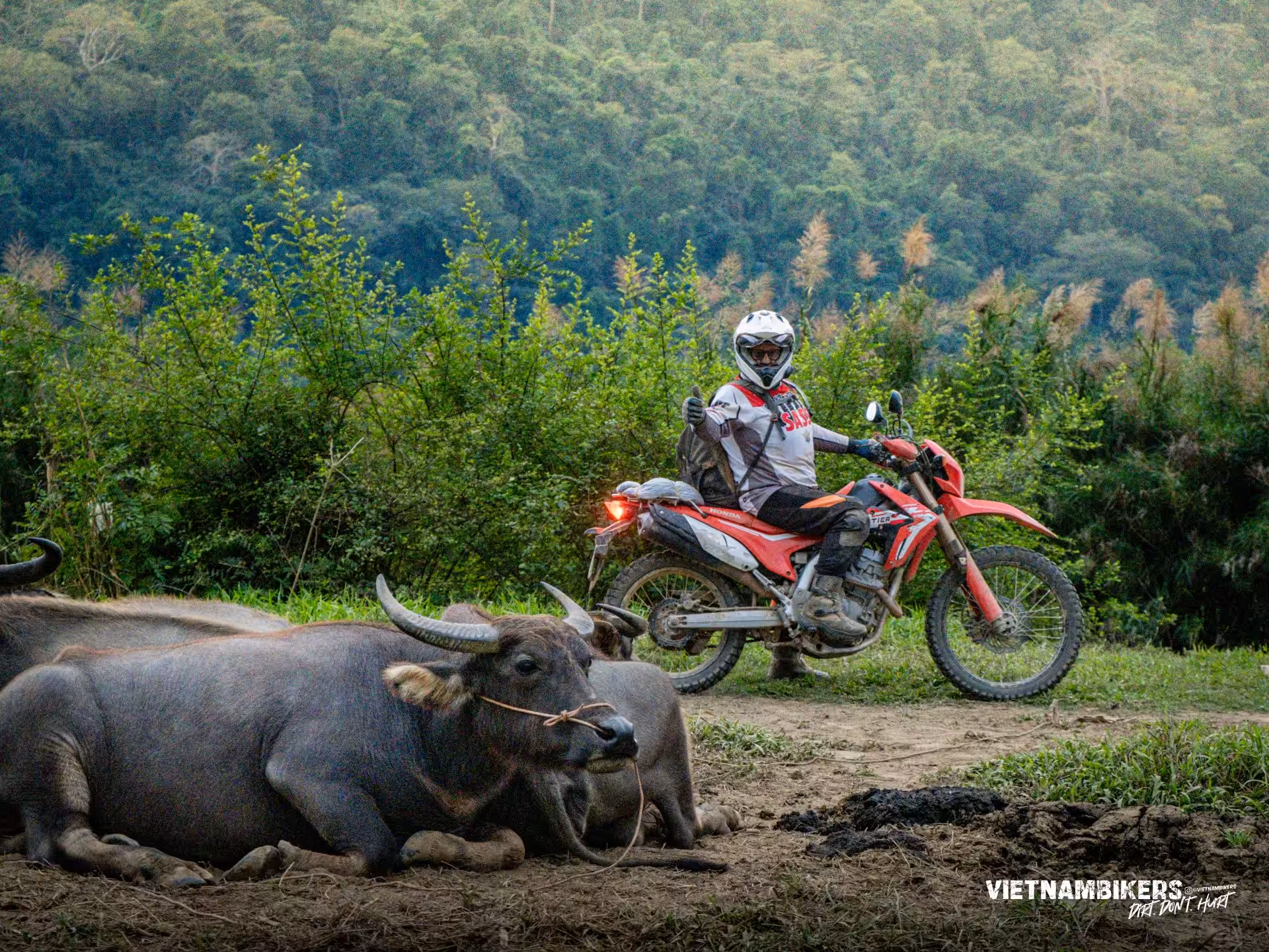 motorcycle tour northern vietnam 8211 8 days to brave the dirt roads - Motorcycle Tour VietnamBikers