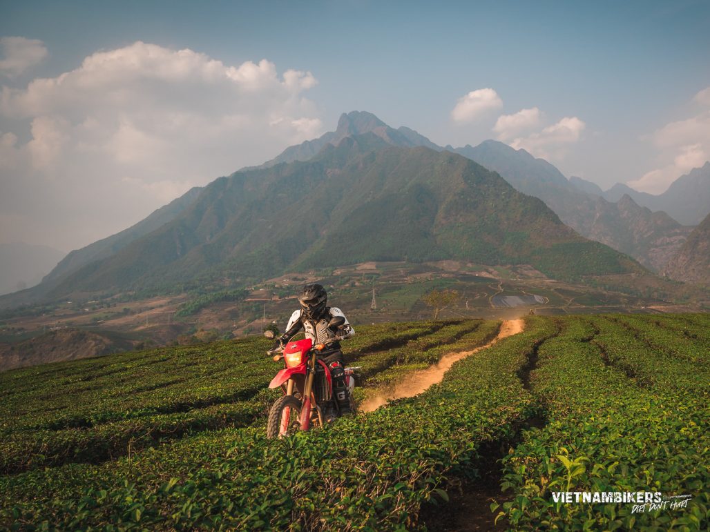 Best Time to Ride a Motorbike in Vietnam – Seasonal Guide for Riders - Motorbike Tour VietnamBikers