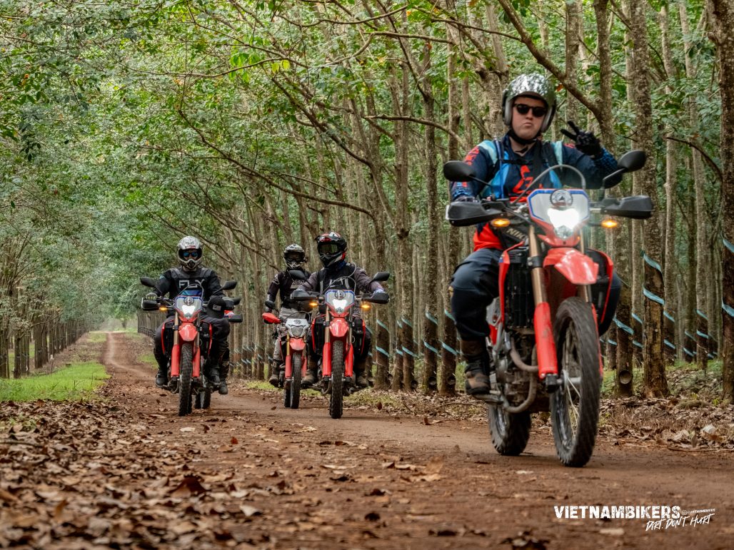 Mekong Delta Motorbike Tours – Ride the Southern Soul of Vietnam - VietnamBikers Tours Mekong Delta Motorbike Tours – Ride the Southern Soul of Vietnam - Motorbike Tour VietnamBikers
