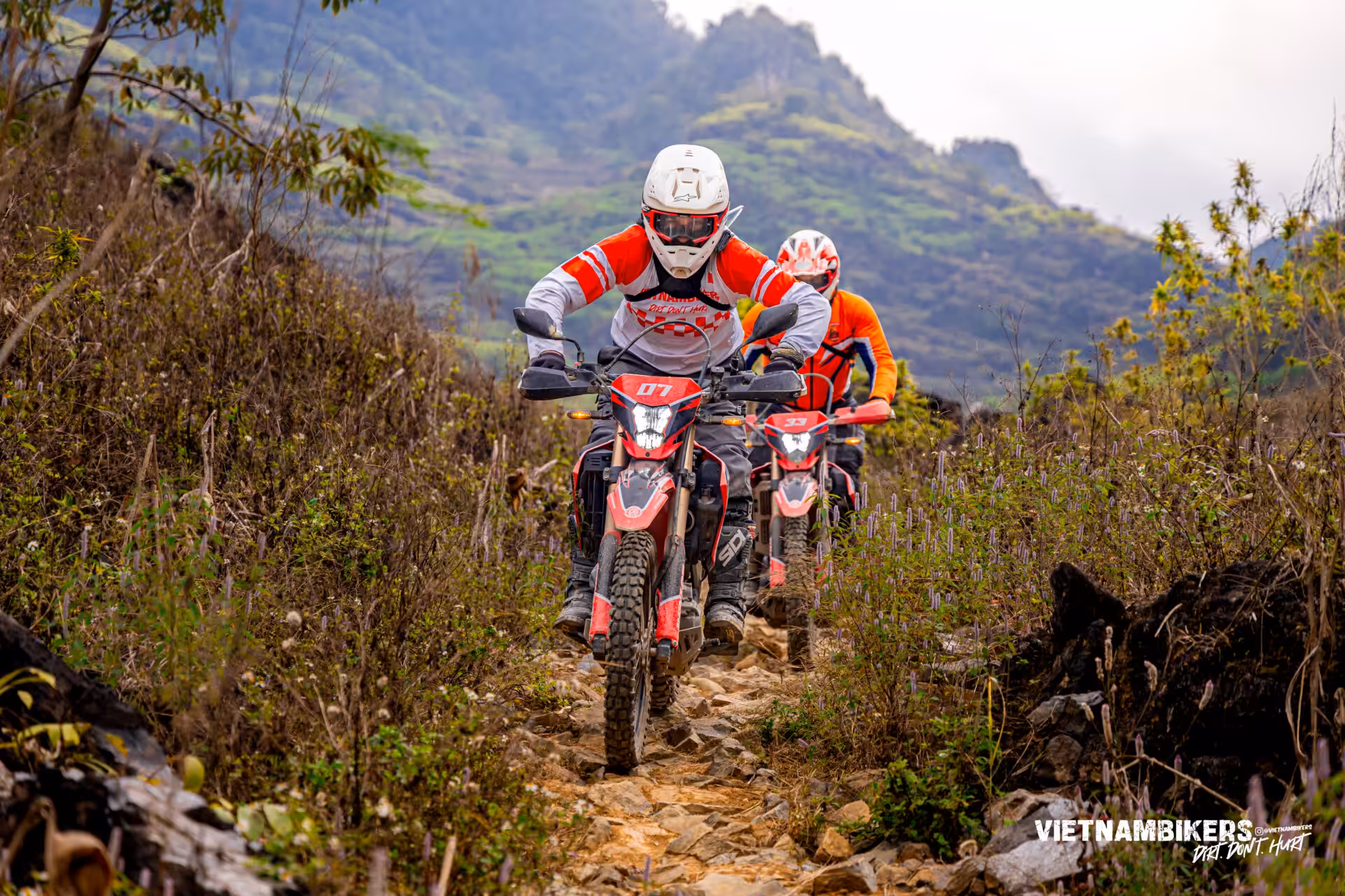 12 days top gear northern vietnam tour from cityscapes to mountains - Motorcycle Tour VietnamBikers